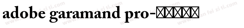 adobe garamand pro字体转换